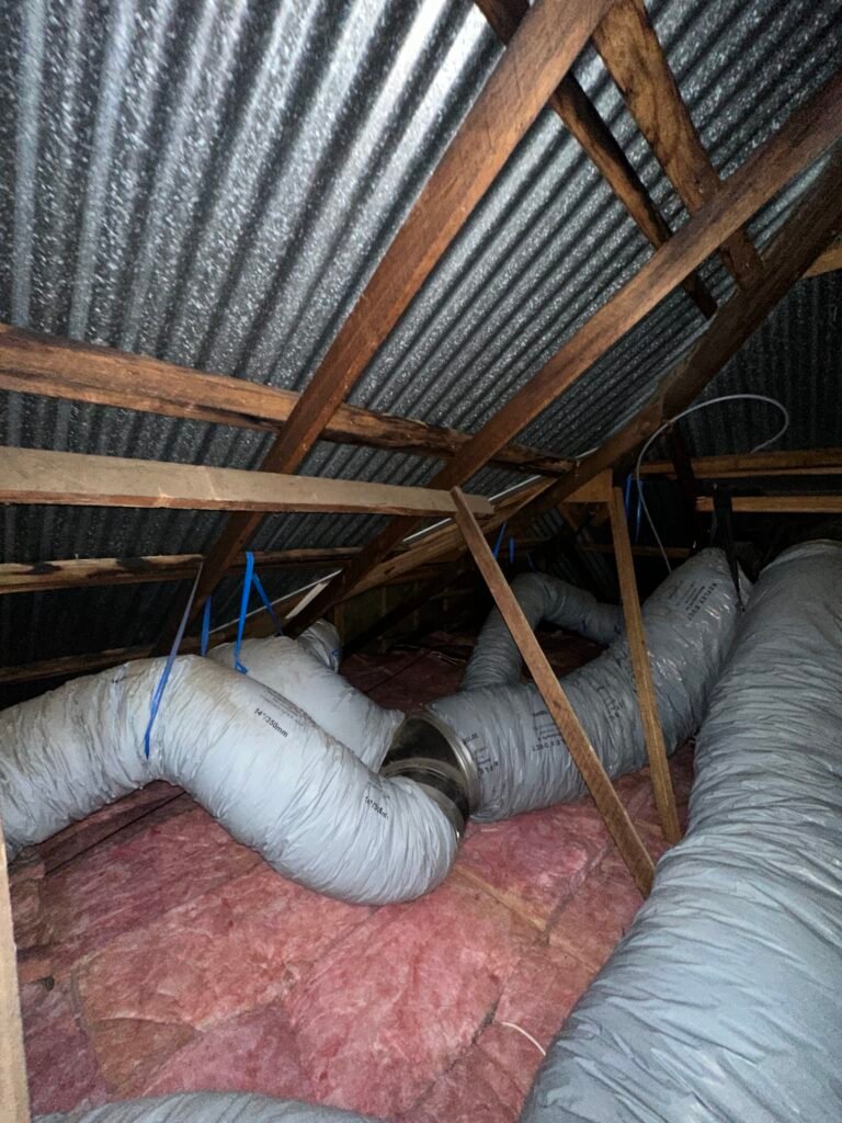 img 7210 (1)