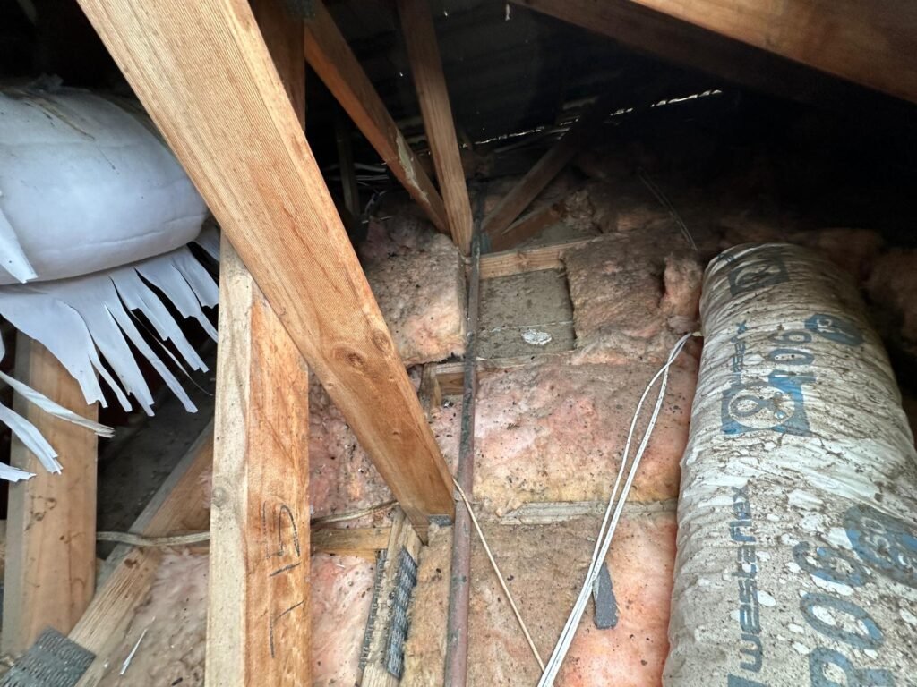 photo 2026 04 15 10 04 58